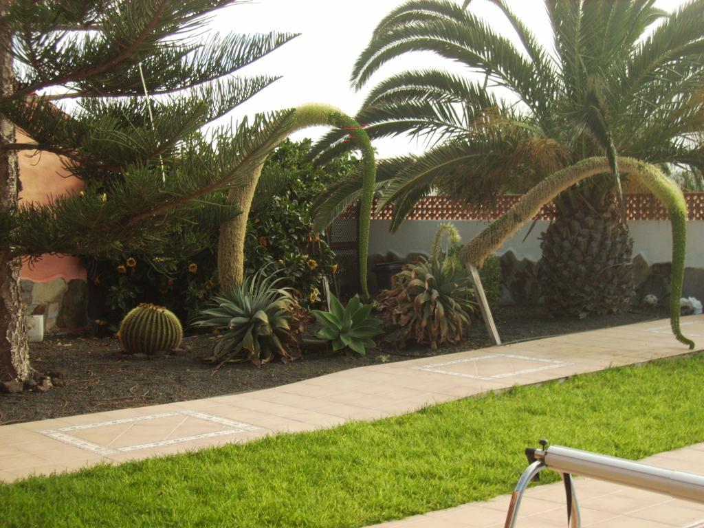 Casa Mami Villa Lajares Buitenkant foto